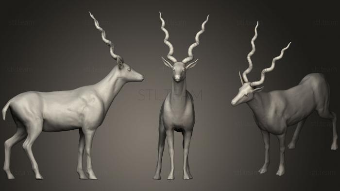 3D model Realistic Antelope (STL)